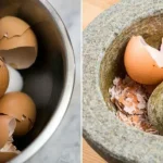 11 Ingenious Uses for Eggshells for the Home and Garden