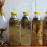 Remoje las cáscaras de plátano en 1 botella de agua: lo que sucede momentos después
