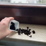 Café molido en los alféizares: resuelve un problema muy común