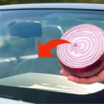 Cebolla en el parabrisas de tu coche, nunca adivinarás el gran problema que resuelve