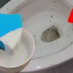 Este remedio deja el baño como nuevo en 5 minutos: adiós a las manchas, bacterias y malos olores