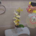 Solo si rocías esta mezcla en el baño te librarás del olor a orina para siempre