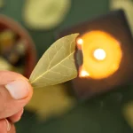 7 Benefits of Burning a Bay Leaf at Home Every Night