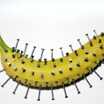 Clavos en un plátano, increíble lo que pasa en solo 10 minutos