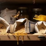 Insects in the pantry: how to get them out of the way right away: the quickest solution