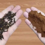Just mix cloves with COFFEE and you won’t need to buy them at the market anymore.