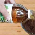 Mix Coffee and Vinegar, Here’s Why Millions of  Housewives Are Doing It