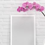Orchid, only if you place it here does it flourish very well: no one ever does