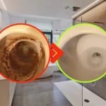 Sanitarios ennegrecidos, cómo blanquearlos en 5 minutos sin lejía: la solución natural