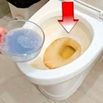 This powerful and natural blend eliminates all urine stains and odors
