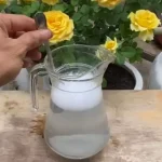 Baking soda, throw a teaspoon into the plants: what you will see is out of the ordinary
