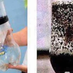 Homemade mosquito trap, the only natural remedy that eliminates them all