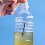 Take rusty nails and immerse them in a bottle full of water: because it is very useful