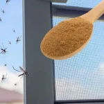 The most powerful insecticide against mosquitoes is in the kitchen: you make them disappear at no cost