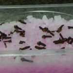 The most powerful natural repellent to immediately eliminate all insects from the house