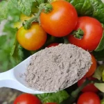 Tomatoes will go through the greenhouse roof if you use this: explosive growth